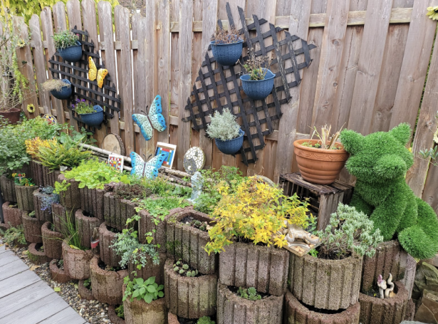 Bunte Pflanzen in Pflanzkästen, mit einem grünen Plüschbären und dekorativen Elementen.