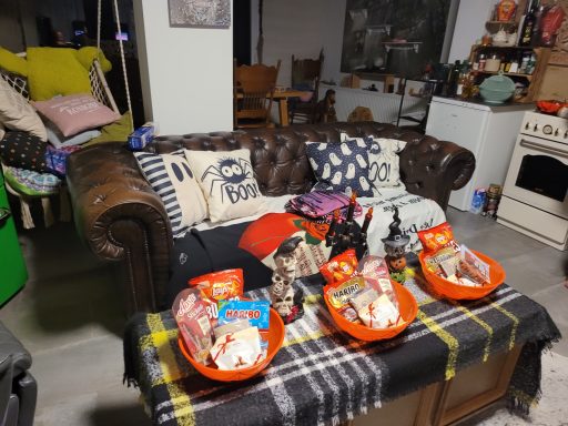 Gemütliche Wohnzimmereinrichtung mit Ledersofa, Kissen und Snackschalen auf dem Tisch.